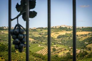 Italian Experience-Villa Zena - Cupramontana - 1