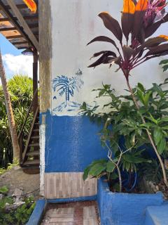 Casa Azul da Paz - Praia Tiririca, Itacaré - 1