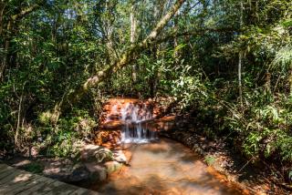 Casa de Campo com piscina Ninho Verde 2 - 7