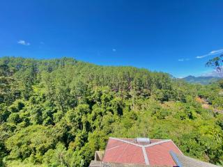 The Sunshine Ella - 4