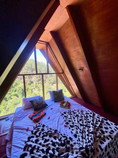 The Sunshine Ella - 2