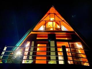 The Sunshine Ella - 3