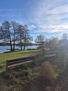 Siedlisko Pod Dębem - 9