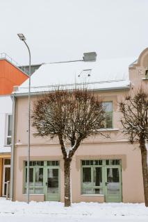 Renovated City Centre Apartment - 9