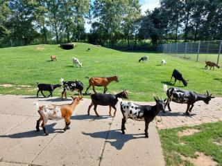 Familiehuis op een rustig park - 5