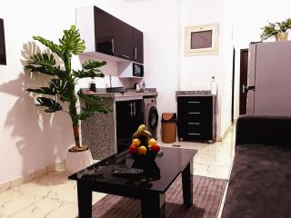 stylish cozy one bedroom apartment - 6