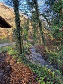 Apartment Doroteja - 7