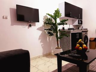 stylish cozy one bedroom apartment - 4