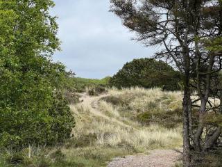 5 person holiday home in Fanø - 8