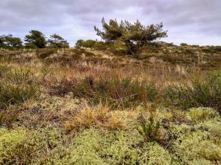 5 person holiday home in Fanø - 5