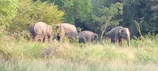 Keth Sisila Guest House - 1