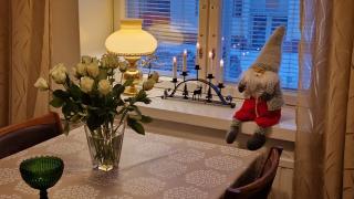 Valoisa huoneisto lähellä ydinkeskustaa - 3