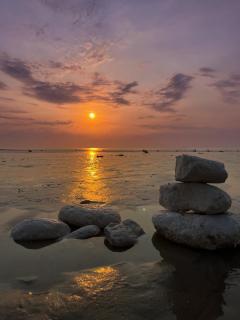 Le Zest d'or - Douceur & Lumière à 5min en voiture de la Plage - 7