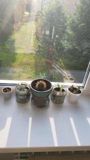 Sea Breeze Apartment - 6