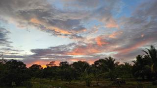 The Farm Cottage - Anuradhapura - 7