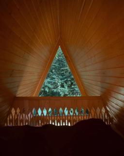 Machakheli A-Lodge - 0