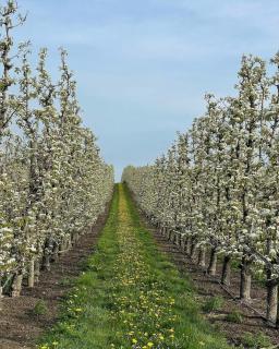 Hof van Sassenbroek - 2