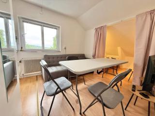 Workers Studio - 2 BR - Free Parking - Near Volvo - 7