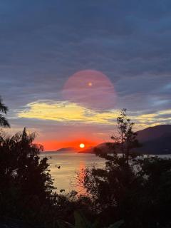 Vila dos cachorros - 1