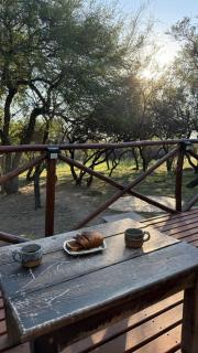 Zelenaiplava dormis - 4