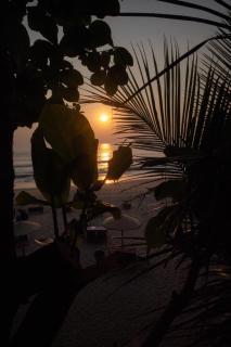 Casa Beach hut Resort - Palolem - 9