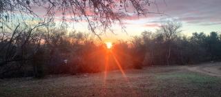 Zelenaiplava dormis - 3