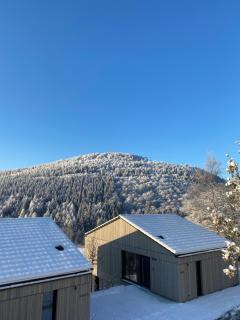 Sauerland Lodge - Haus Juliana - 0