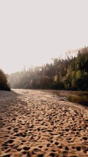 Prêt-à-camper, dôme - 3