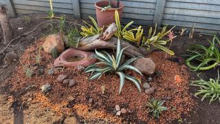 Tierra de Sueños - 4