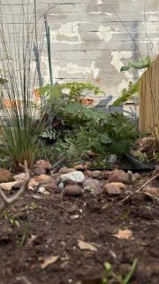 Tierra de Sueños - 1