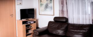 Erholung am Ginkgobaum - 9