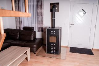 Erholung am Ginkgobaum - 6