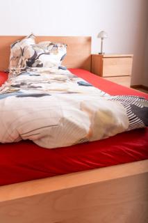 Erholung am Ginkgobaum - 5