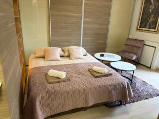 Urban Studio Vračar Centar - Central Belgrade - 9