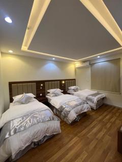 شقق العرين للشقق المخدومة - 8