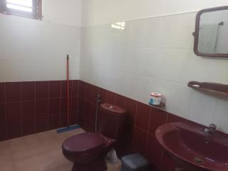 Whispering Wind Yala - 9