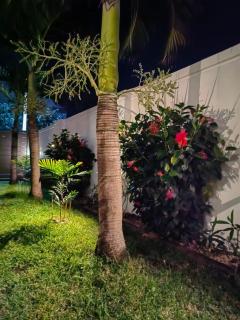 Summer Palms Villa - Flic en Flac - 2