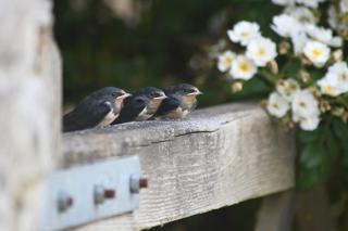 Hideaway in the Brecon Beacons - 9