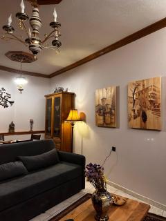 MetsoVillas στο κέντρο του Μετσόβου - 1