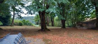 La Maison de Bujan - 5