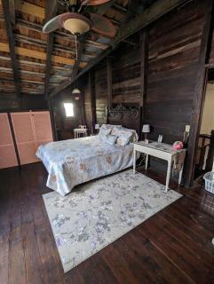 Seagrace - Governorʼs Harbour - 7