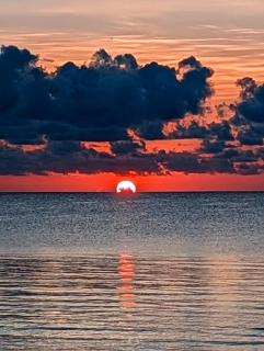 Seagrace - Governorʼs Harbour - 3