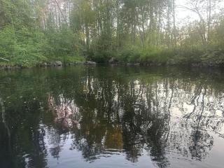 Forestry cabin and sauna cabin - 5