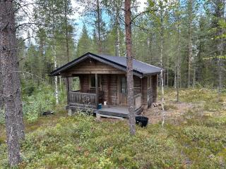 Forestry cabin and sauna cabin - 1