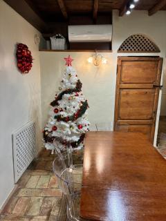 Domus Antica Navona - 9