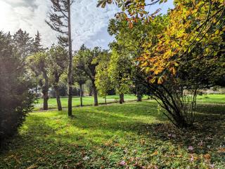 Chambre "Bleue", Le Priouzé - 3