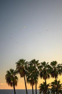 La Fenêtre sur Mer - Superbe Vue Sur Le Port - Nice - 4