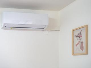 Cheyf in Willson's alley - 1