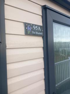 The Bluebell - 8