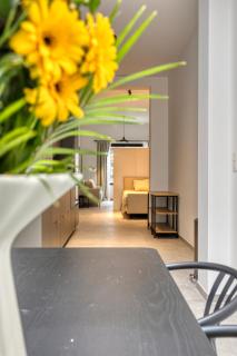 Zurenborg apartment with patio at Dageraadplaats - 1